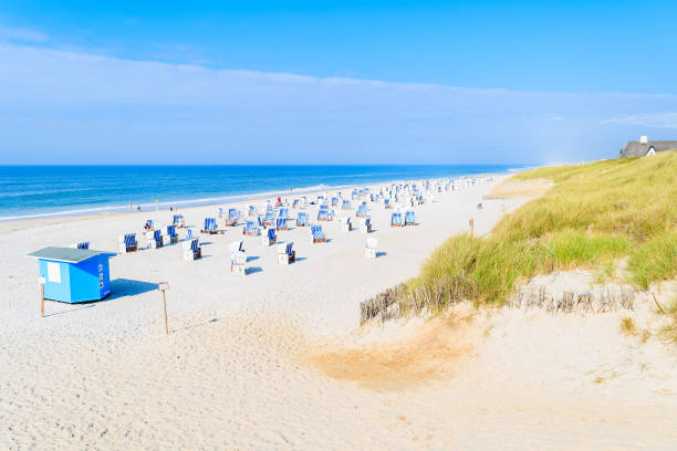 istock White sand beach with chairs in Kampen, Sylt island, Germany 675355126