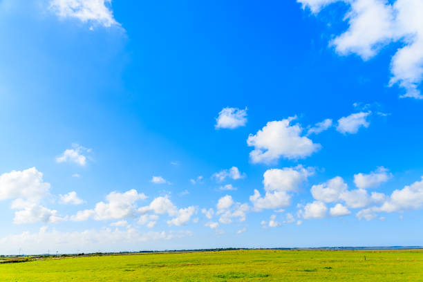 istock White sunny clouds on blue sky and green farming fields, Sylt island, Germany 675355168