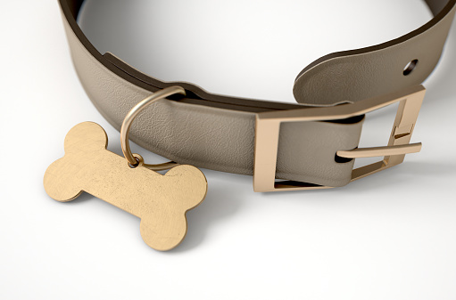 A brown leather dog collar with a brass bone shaped identification tag isolated on a white studio background - 3D render