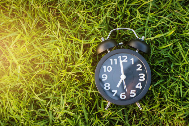 istock An alarm clock and Note Book placed on the grass. 675364490