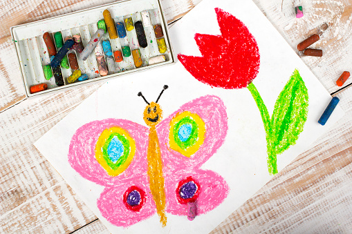 colorful drawing: happy butterfly and beautiful tulip