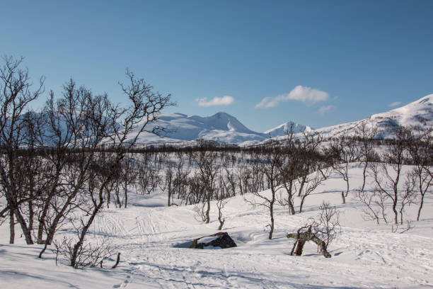 istock Ski tracks through winter landscape 675368748