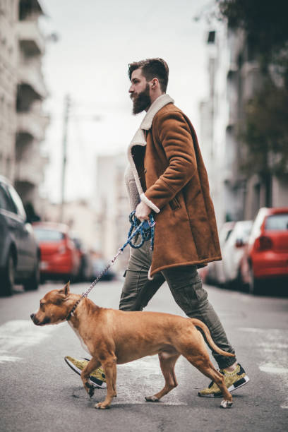 istock Taking the dog for a walk 675376648