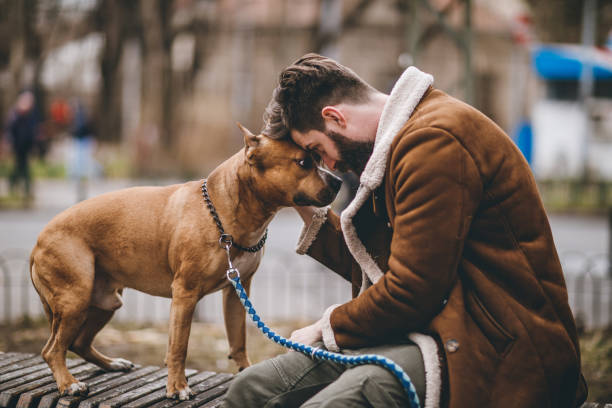 istock Beside Me, My Friend 675376922