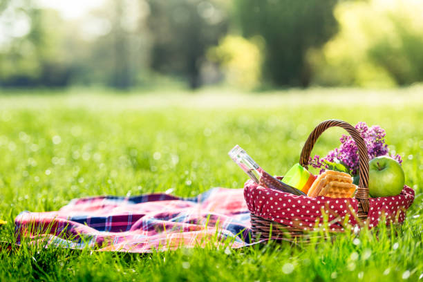 picnic basket and blanket outdoors stock photo