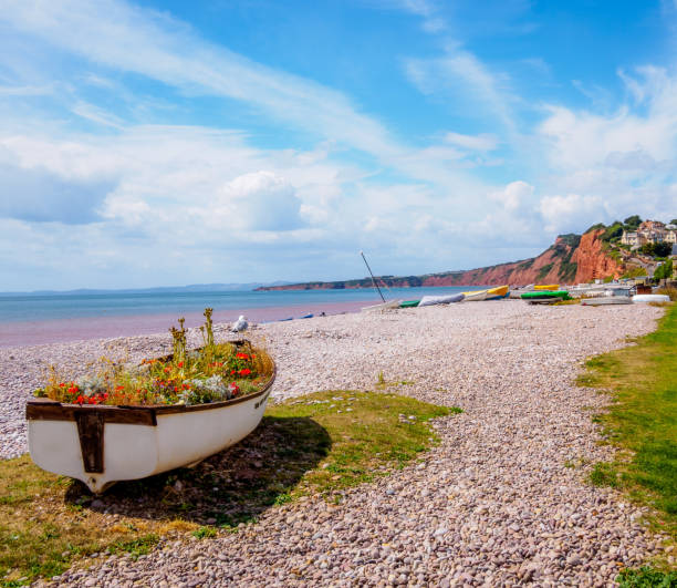 бадли бич - budleigh стоковые фото и изображения