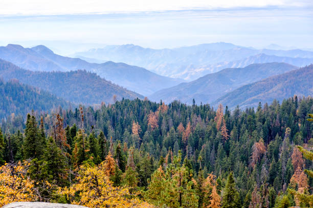 istock Sequoia National Park mountain landscape at autumn 675389936
