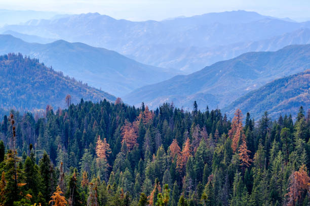 istock Sequoia National Park mountain landscape at autumn 675389964