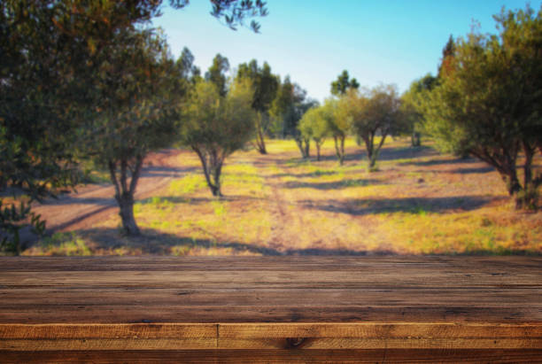 istock Empty rustic table in front of dreamy bokeh countryside background 675392192