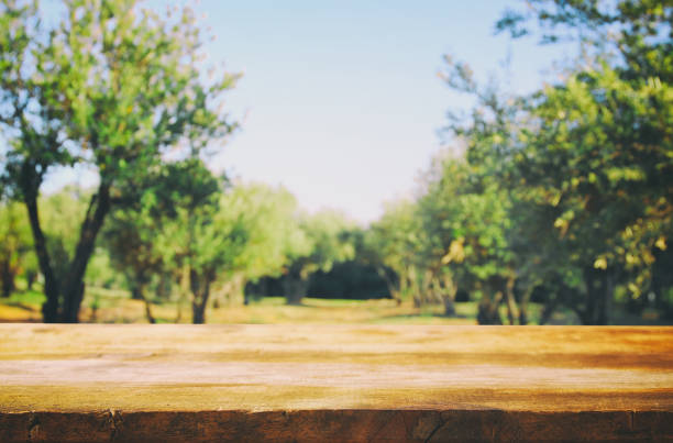 istock Empty rustic table in front of dreamy bokeh countryside background 675392306