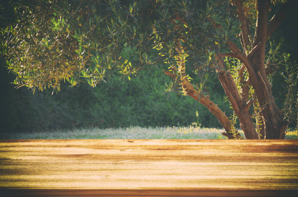 istock Empty rustic table in front of dreamy bokeh countryside background 675392310