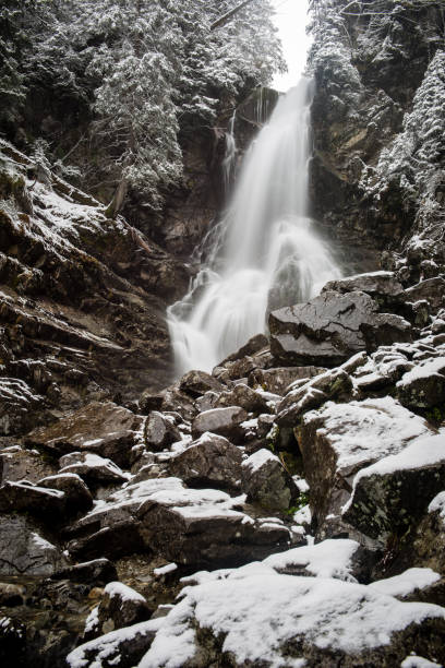 istock Waterfall from ravine in winter, long exposure 675395962