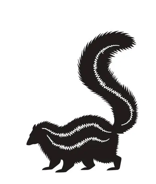 Vector illustration of silhouette of a standing skunk