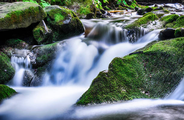 istock Waterfall Shypit in the Ukrainian Carpathian mountains on the long exposure 675406202