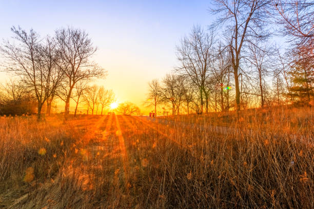istock Sunrise at Humber Bay Park 675417412