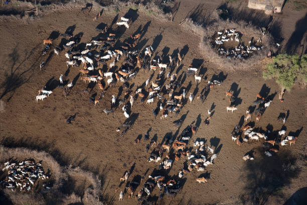 istock Kenya from the air 675423336