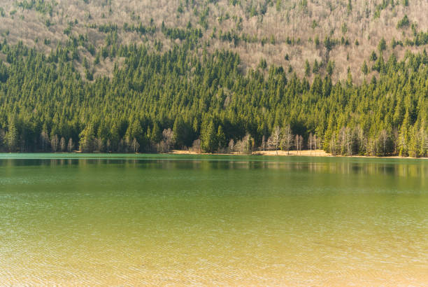 Saint Ana Volcanic Lake in the Spring - Romania