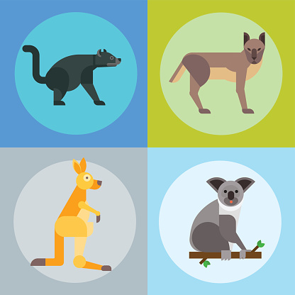 Australia wild animals cartoon popular nature characters flat style and australian mammal aussie native forest collection vector illustration. Natural little young portrait.