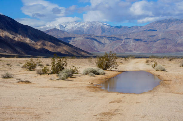 Desert Rain Water The left over effects of a desert rainstorm, a giant puddle. borrego springs photos stock pictures, royalty-free photos & images