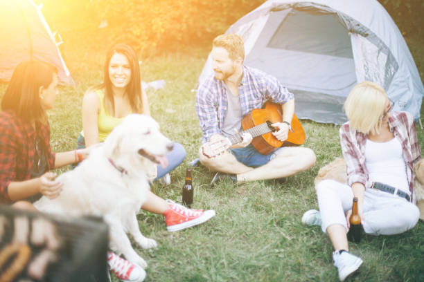 istock Friends on camping in nature with dog 675458576