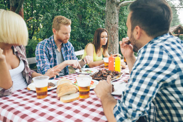 istock Friends have lunch time in nature 675458598