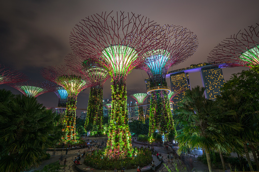 Singapore City, SINGAPORE - FEBRUARY 10, 2017 : Singapore Night Skyline at Gardens by the Bay. SuperTree Grove under Blue Night Sky in Singapore.