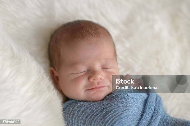 Smiling Newborn Baby Boy Stock Photo - Download Image Now - Baby Boys, Baby - Human Age, Sheepskin