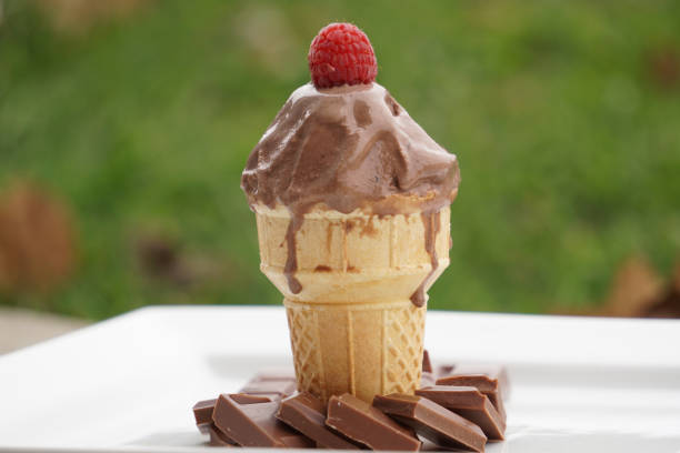 Ice cream surrounded by pieces of chocolate