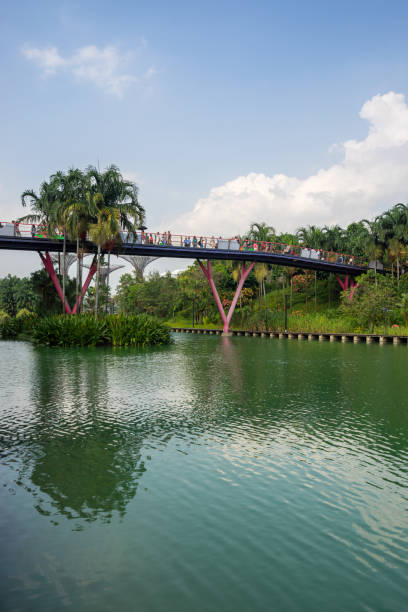 Gardens by the Bay park at Marina Bay, Singapore Singapore: Gardens by the Bay park at Marina Bay, Singapore. The park consists of three waterfront gardens: South , East , Central GardensSingapore: Gardens by the Bay park at Marina Bay, Singapore. The park consists of three waterfront gardens: South , East , Central Gardens gardens-by-the-bay-dome stock pictures, royalty-free photos & images