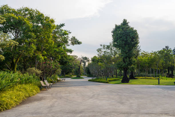 Gardens by the Bay park at Marina Bay, Singapore Singapore: Gardens by the Bay park at Marina Bay, Singapore. The park consists of three waterfront gardens: South , East , Central GardensSingapore: Gardens by the Bay park at Marina Bay, Singapore. The park consists of three waterfront gardens: South , East , Central Gardens gardens-by-the-bay-dome stock pictures, royalty-free photos & images