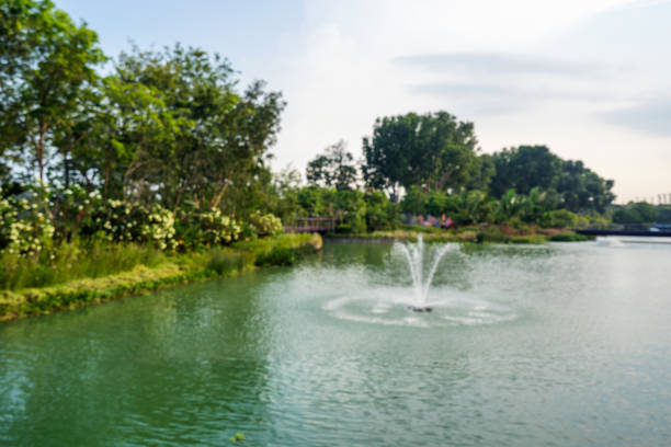 Gardens by the Bay park at Marina Bay, Singapore Singapore: Gardens by the Bay park at Marina Bay, Singapore. The park consists of three waterfront gardens: South , East , Central GardensSingapore: Gardens by the Bay park at Marina Bay, Singapore. The park consists of three waterfront gardens: South , East , Central Gardens gardens-by-the-bay-dome stock pictures, royalty-free photos & images