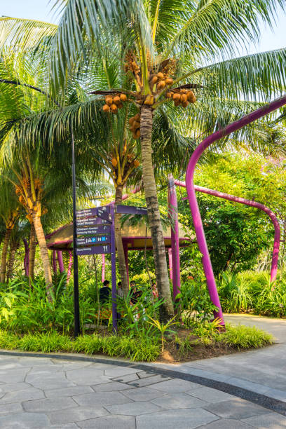 Gardens by the Bay park at Marina Bay, Singapore Singapore: Gardens by the Bay park at Marina Bay, Singapore. The park consists of three waterfront gardens: South , East , Central GardensSingapore: Gardens by the Bay park at Marina Bay, Singapore. The park consists of three waterfront gardens: South , East , Central Gardens gardens-by-the-bay-dome stock pictures, royalty-free photos & images