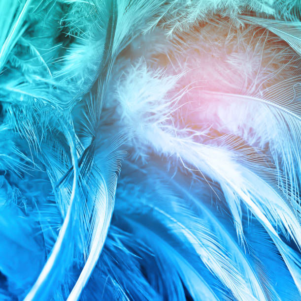 istock Green turquoise and blue color trends chicken feather texture background,Light orange 675481808
