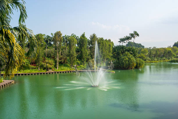Gardens by the Bay park at Marina Bay, Singapore Singapore: Gardens by the Bay park at Marina Bay, Singapore. The park consists of three waterfront gardens: South , East , Central GardensSingapore: Gardens by the Bay park at Marina Bay, Singapore. The park consists of three waterfront gardens: South , East , Central Gardens gardens-by-the-bay-dome stock pictures, royalty-free photos & images
