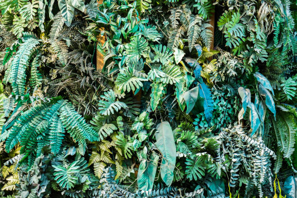 istock Plant wall background for exterior decoration 675484358
