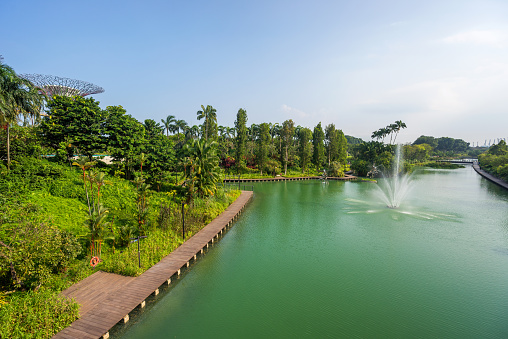 Singapore: Gardens by the Bay park at Marina Bay, Singapore. The park consists of three waterfront gardens: South , East , Central Gardens