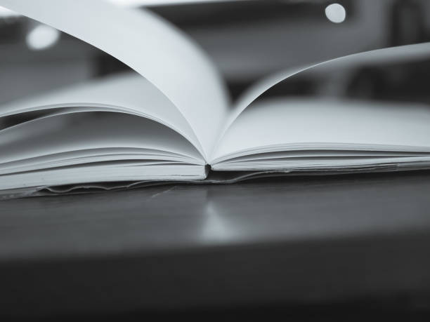 istock Education Concepts: Book and magnifying glass 675498428