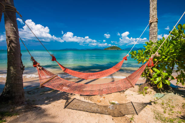 istock Tropical Palm Trees and Hammock at Trat in Thailand 675498716