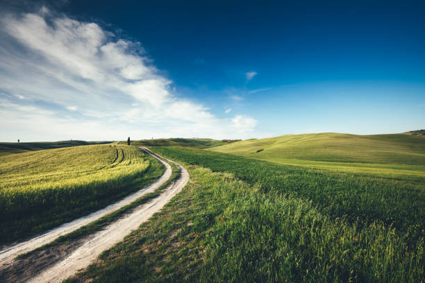 променая дорога в тоскане - dirt road tranquil scene blue travel destinations стоковые фото и изображения