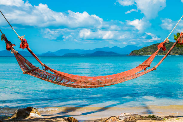 istock Tropical Palm Trees and Hammock at Trat in Thailand 675498938