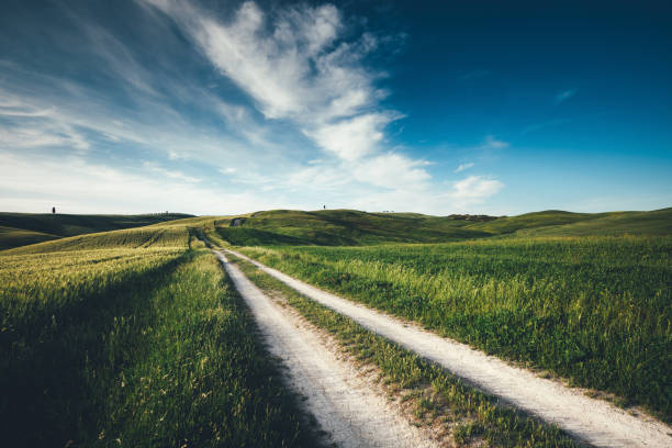istock Country Road In Tuscany 675498988