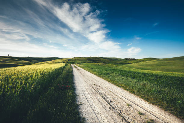 Country Road In Tuscany Tuscany landscape with country road, wheat field and cypress trees (Val D'orcia, Italy). rolling field stock pictures, royalty-free photos & images