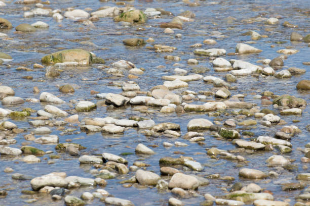 The view from the shore to the water surface of the river and not large stones are straight at the shore.