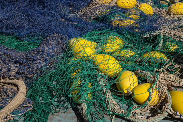 Blue and green fishing nets, with yellow floats on the quay of a fishing port.  Port d'Andratx, Calvia, Mallorca, Spain.