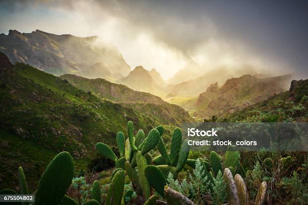 Amazing Nature In Teno Mountain Valley Stock Photo - Download Image Now - Tenerife, Nature, Landscape - Scenery