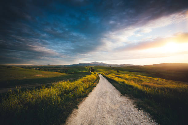 Val D'Orcia Landscape Tuscany landscape with country road, wheat field and cypress trees (Val D'orcia, Italy). rolling field stock pictures, royalty-free photos & images