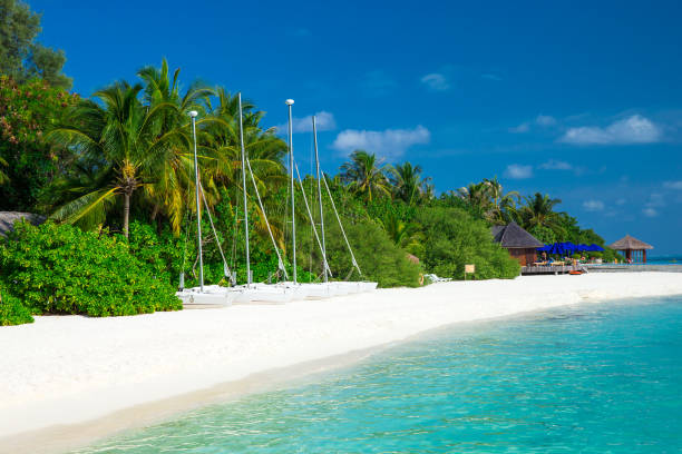 istock sea in Maldives 675508082