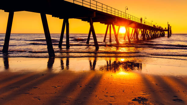 istock Glenelg beach jetty at sunset 675509062