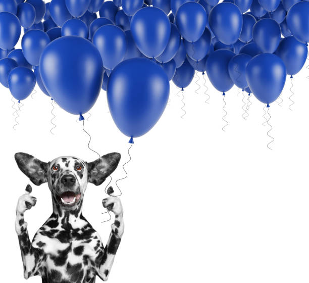 Cute dalmatian dog with balloon