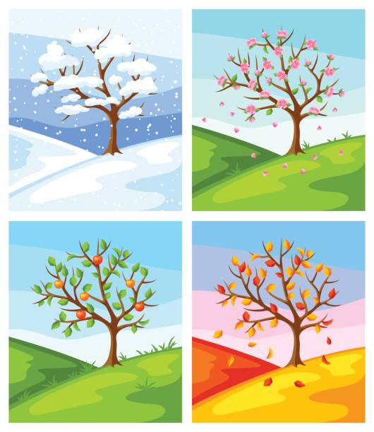 ilustraciones, imágenes clip art, dibujos animados e iconos de stock de cuatro estaciones del año. ilustración del árbol y el paisaje en primavera, verano, invierno, otoño - four seasons cloud autumn plant